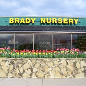 Bild von Brady Nursery