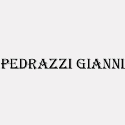 Logo von Pedrazzi Gianni