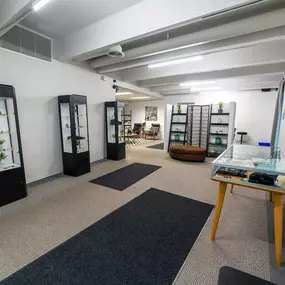 Inside Lightshade Evans Dispensary, showcasing a spacious retail area with glass display cases, shelves with potted plants, and a seating area in the background.