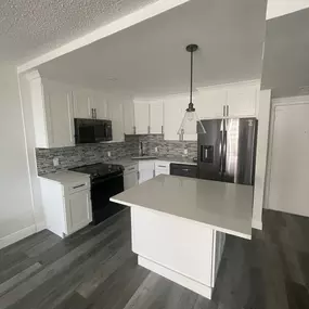 Recent Kitchen Remodel