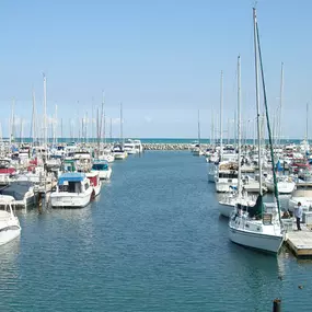 Waukegan Harbor & Marina