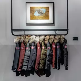 Bild von Canada Goose Minnesota