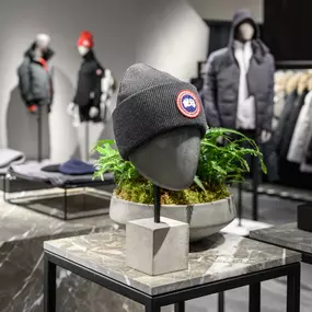 Bild von Canada Goose Minnesota