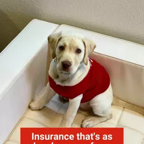 Call us today to make sure everyone in your family is covered! Holly Goodman State Farm