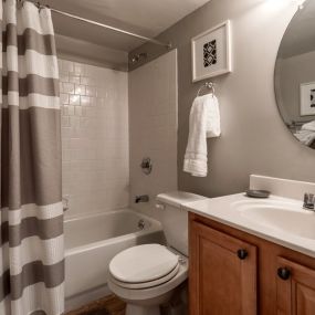 Bathroom at The Brook at Columbia apartments