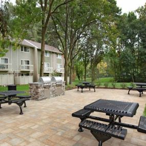 Picnic Tables and Grills at The Brook at Columbia apartments