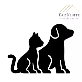 Bild von Far North Insurance