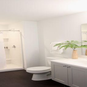 MKE Lofts Bathroom with wood planking floors