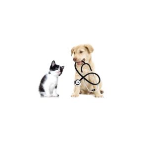 chien et chat cabinet vétérinaire coquay et polo