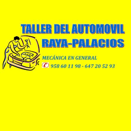 Logo od Talleres Raya Palacios Y Otros S.l.