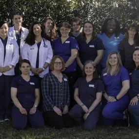 The caring and experienced team at VCA Arbor Animal Hospital!
