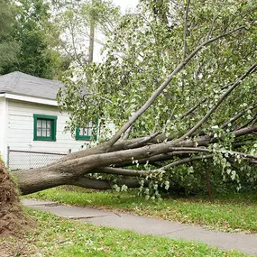 Following a severe storm, your first roofing concern is whether or not the storm has caused any leakage that might damage your home or business’ interior. Even if your roof has survived a storm without leaking, there may be significant hail damage you might be unaware of. This is why it’s important to call an experienced roofing expert to check your roof for any signs of storm damage.