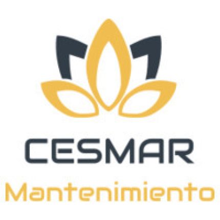 Logotipo de Cesmar Service