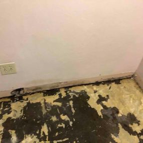 Call now for the water damage restoration you need