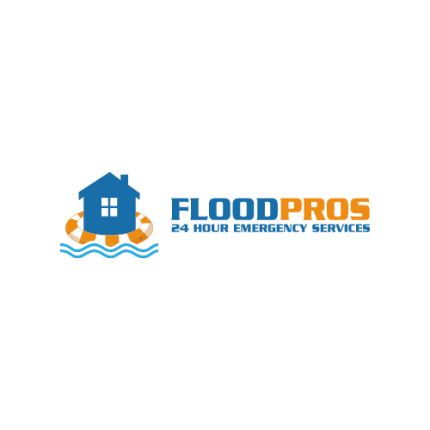 Logotyp från Flood Pro's USA