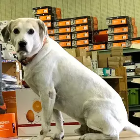 Visit Blanco, our friendly store mascot!