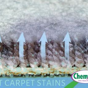 Instead of pushing stains down into the carpet, we pull them to the service and remove them.