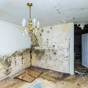 Bild von Garden State Public Adjusters, Inc.