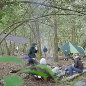 A hike-in, overnight, fly fishing trip at the Pisgah National Forest.