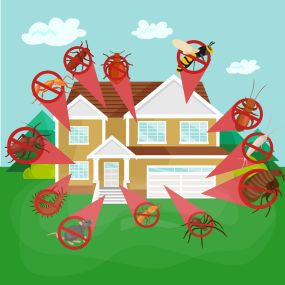 Pest Control and Maintenance