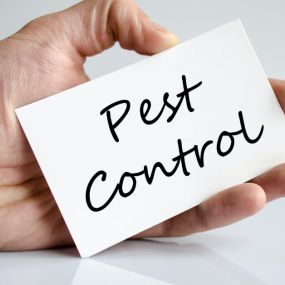 Essex County NJ Pest Control and Wildlife Removal