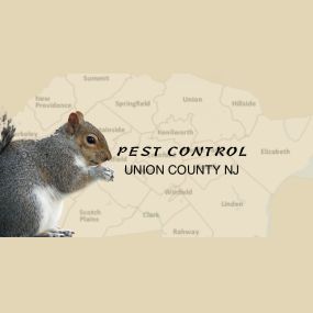 Union County NJ Pest Control and Wildlife Removal