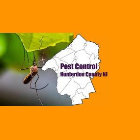Hunterdon County NJ Pest Control and Wildlife Removal