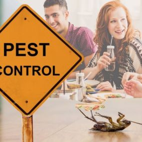 Click to learn how to prevent a pest infestation in your restaurant
