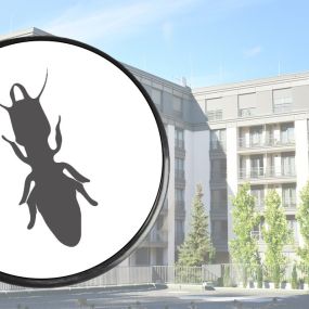 Pest control & management for property managers