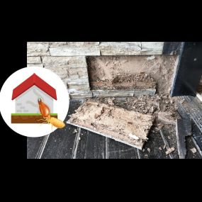 Termites? 7 Reasons to Hire a Professional Exterminator. Learn More: https://4njpest.com/termites-7-reasons-to-hire-a-professional-exterminator/