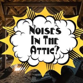 Do You Hear Noises In The Attic?