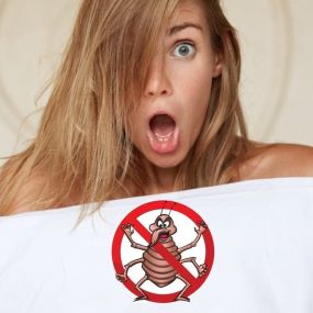 Precautions To Take To Avoid Bed Bugs While Traveling, Learn More: https://4njpest.com/precautions-to-take-to-avoid-bed-bugs-while-traveling/