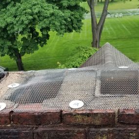 Custom made stainless steel chimney cap to keep the racoons away. This custom made chimney cap will not only prevent animal entry for years to come but will also keep debris and rain/snow from causing any further damage inside the chimney.