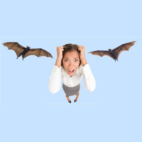 Yes! Bats Do Cause A Severe Health Risk.  Learn more: https://4njpest.com/i-have-bats-what-do-i-do/