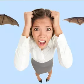 Yes! Bats Do Cause A Severe Health Risk.  Learn more: https://4njpest.com/i-have-bats-what-do-i-do/