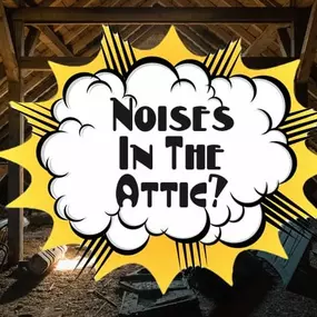 Do You Hear Noises In The Attic?