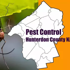 Hunterdon County NJ Pest Control and Wildlife Removal