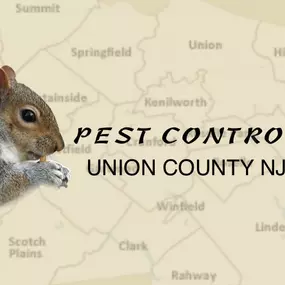 Union County NJ Pest Control and Wildlife Removal