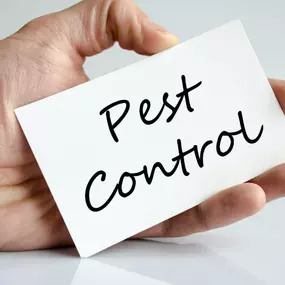 Essex County NJ Pest Control and Wildlife Removal