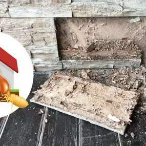 Termites? 7 Reasons to Hire a Professional Exterminator. Learn More: https://4njpest.com/termites-7-reasons-to-hire-a-professional-exterminator/