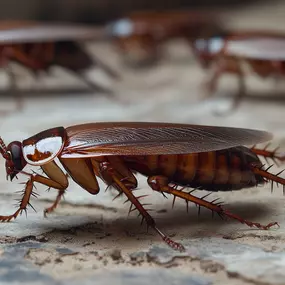 Are cockroaches invading your home? Let NJ Pest Control give them the boot!