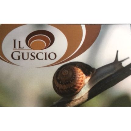 Logo da Il Guscio S.r.l.s.