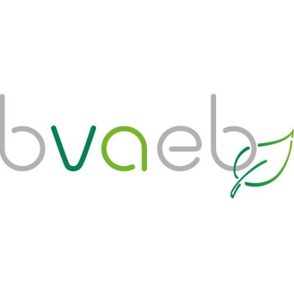 Logo fra BVAEB - Therapiezentrum Buchenberg
