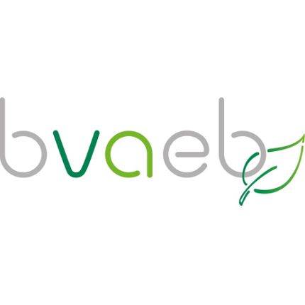 Logotipo de BVAEB - Therapiezentrum Buchenberg