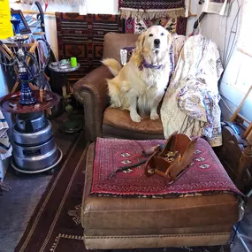 Bild von Castle Cleaning & Oriental Rug Company