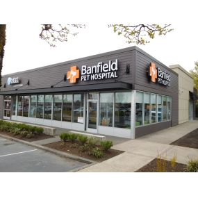 Bild von Banfield Pet Hospital