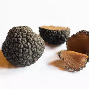 Lucia Ristorante - North End Boston - Black Truffles