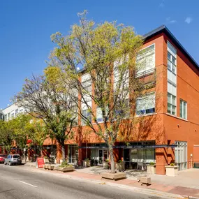 Bild von Florence Square Apartments