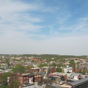 Rooftop View