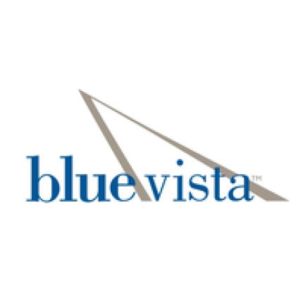 Logo de Blue Vista, LLC